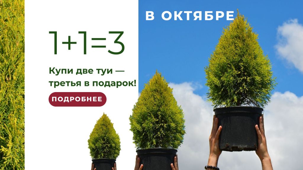 Баннер-1+1-ТУИ-ОКТЯБРЬ Баннер-1+1-ТУИ-ОКТЯБРЬ